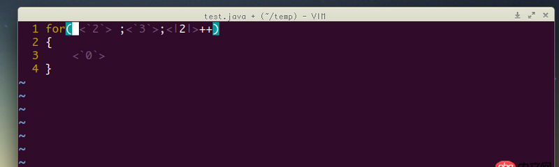 vim 的concealcursor 和conceallevel？