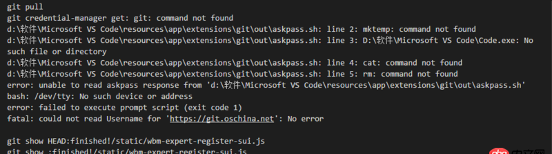 visual-studio-code - VScode自带git拉取和推送报错