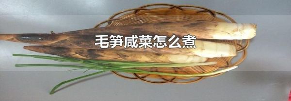 毛笋咸菜怎么煮