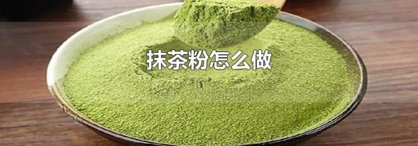 抹茶粉怎么做