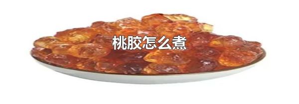 桃胶怎么煮