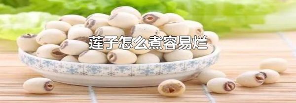 莲子怎么煮容易烂