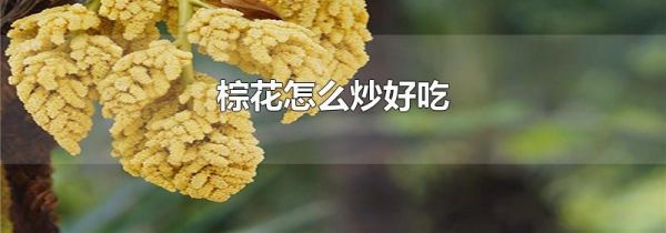 棕花怎么炒好吃