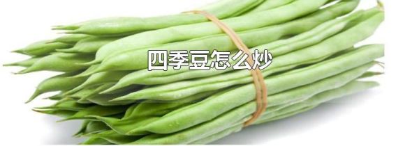 四季豆怎么炒