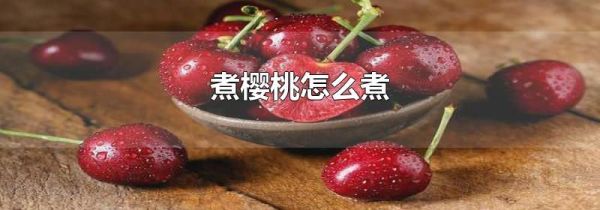 煮樱桃怎么煮