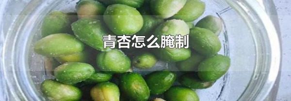 青杏怎么腌制