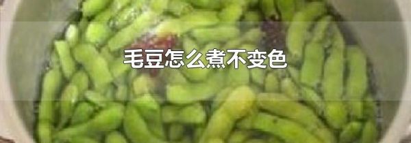 毛豆怎么煮不变色