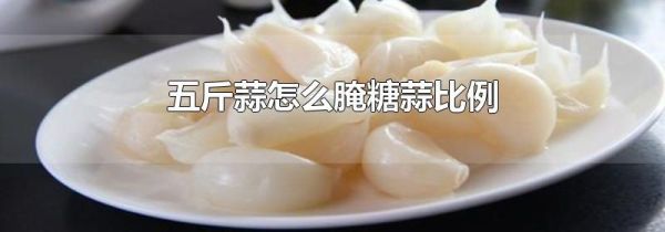 五斤蒜怎么腌糖蒜比例