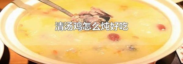 清汤鸡怎么炖好吃