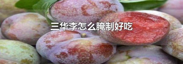 三华李怎么腌制好吃