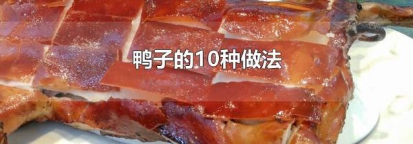 鸭子的10种做法