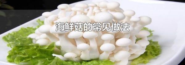 海鲜菇的常见做法