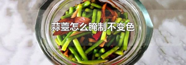 蒜薹怎么腌制不变色