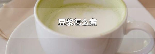 豆浆怎么煮