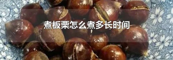 煮板栗怎么煮多长时间