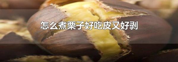 怎么煮栗子好吃皮又好剥