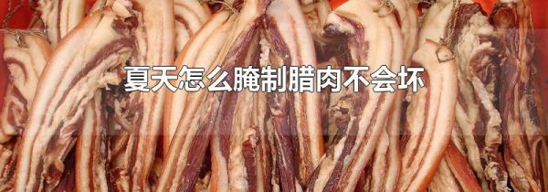 夏天怎么腌制腊肉不会坏