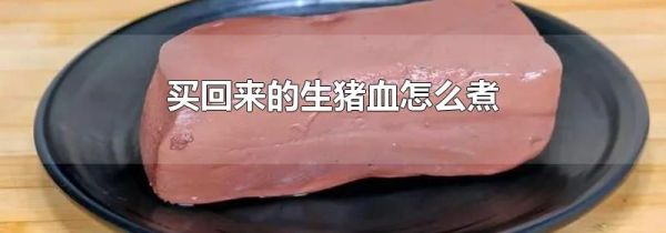 买回来的生猪血怎么煮