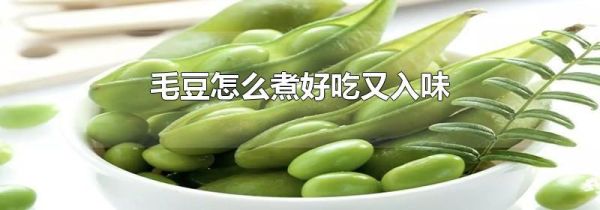 毛豆怎么煮好吃又入味