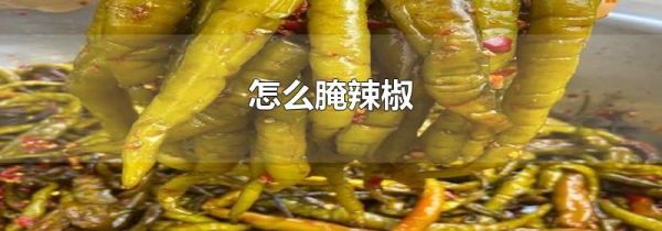 怎么腌辣椒