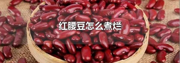 红腰豆怎么煮烂