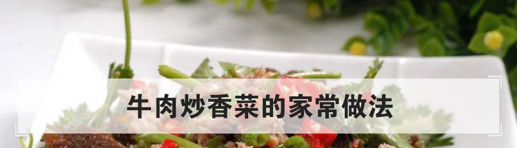 牛肉炒香菜的家常做法