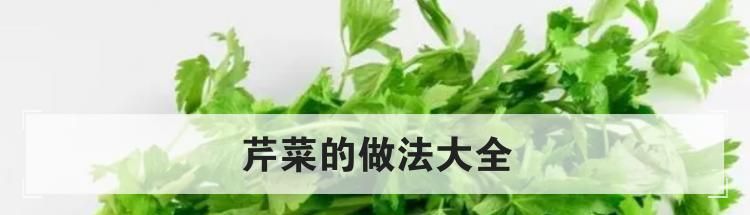 芹菜的做法大全