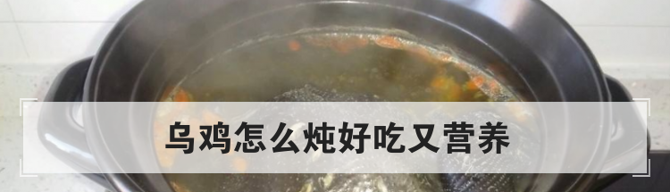 乌鸡怎么炖好吃又营养