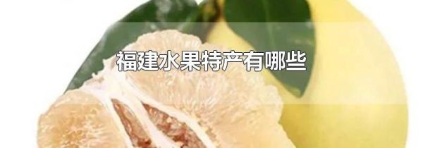 福建水果特产有哪些