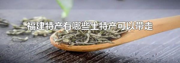 福建特产有哪些土特产可以带走