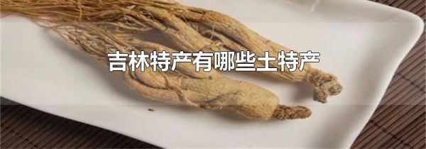 吉林特产有哪些土特产