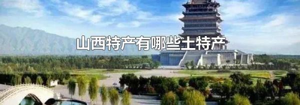 山西特产有哪些土特产