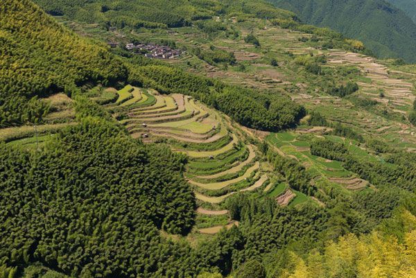 夏天避暑最佳旅游地