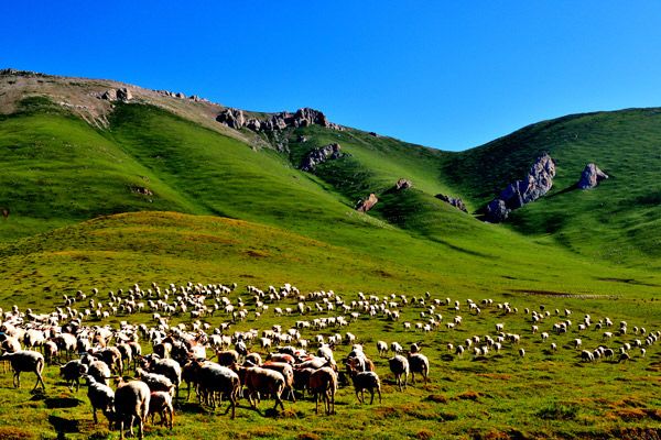 6月去哪里旅游好 6月可以去哪里旅游