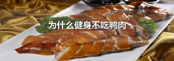 为什么健身不吃鸭肉