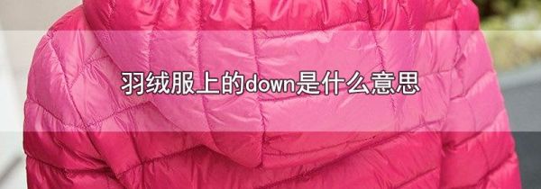 羽绒服上的down是什么意思