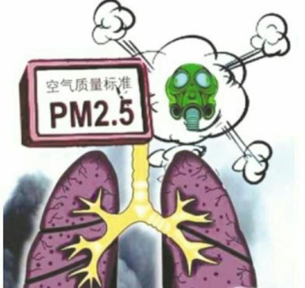 空气中PM2.5是怎么被监测的