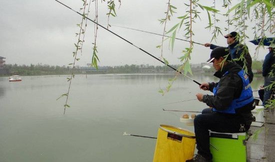 深秋怎么钓草鱼