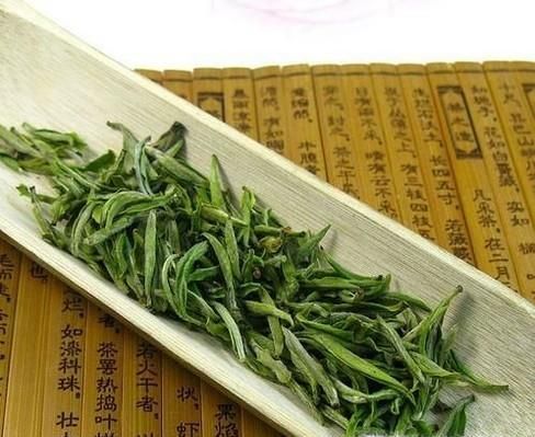 新茶怎样保存？