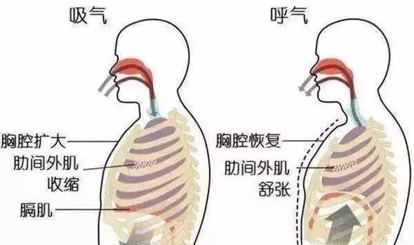 如何练习吹陶笛