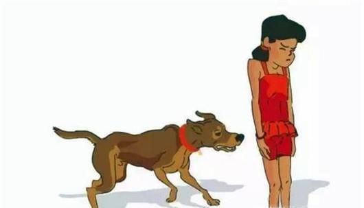 遭遇恶犬怎么办？被恶犬咬后如何解除危机？