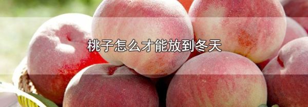 桃子怎么才能放到冬天