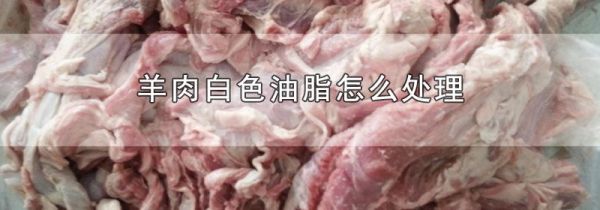 羊肉白色油脂怎么处理