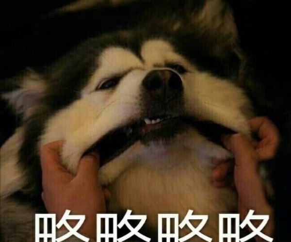 略略略是什么意思？