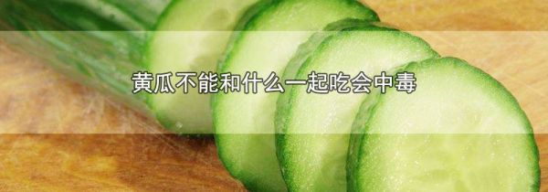 黄瓜不能和什么一起吃会中毒