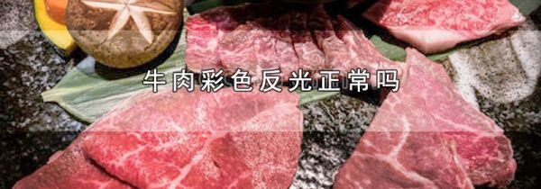 牛肉彩色反光正常吗