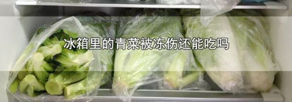 冰箱里的青菜被冻伤还能吃吗