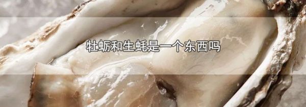 牡蛎和生蚝是一个东西吗