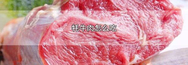 牦牛肉怎么吃