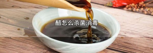 醋怎么杀菌消毒